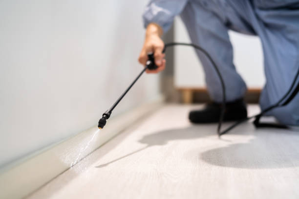 Licensed Termite Control service in Trousdale County County, TN - Nex Pest Control