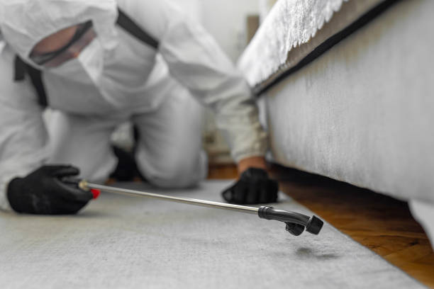 Professional Termite Control technician working in Trousdale County County, TN